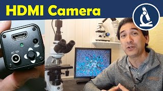 Connecting an HDMI industrial camera to a microscope [upl. by Gusba]