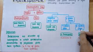 Thalassemia  Alpha amp Beta thalassemia  Patho  Define Type Pathogenesis Diagnosis  part 1 [upl. by Ecirtra]