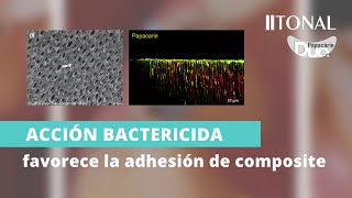 Papacárie 👉 EFECTO BACTERICIDA ✅ FAVORECE LA ADHESIÓN del composite  TONAL ODONTOLOGÍA [upl. by Xerxes7]