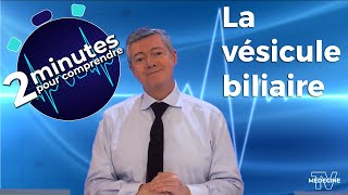 La vésicule biliaire  2 minutes pour comprendre [upl. by Noremmac]