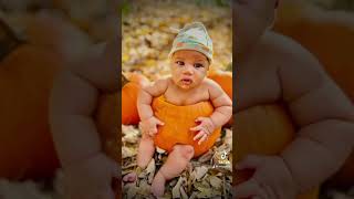 Arlo is 3 months old halloween halloween2024 pumpkin pumpkins pumpkinspice pumpkinpie baby [upl. by Kramlich522]