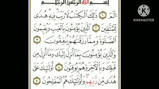 surah baqarah video viral [upl. by Creighton97]