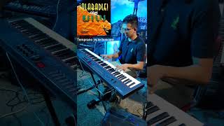 temprano yo te buscare Dyno piano music marcoswitt music musicacristiana jesus fyp piano [upl. by Esbenshade]