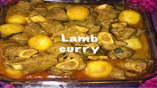 Lamb Curry Recipe Bashundharas Vlog in USA [upl. by Jaenicke802]