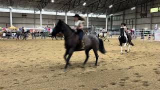 EhCapa Idaho Horse Expo 2024 Bullet Team Performance [upl. by Itagaki]