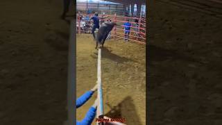 AHIJADO DE OAXACA VS TORO GARROTE🐂💯 jaripeo shorts [upl. by Ahsinrev604]