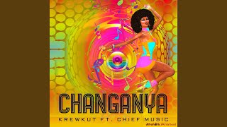 Changanya feat Chief Music [upl. by Yblehs]