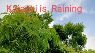 Laddo Bhai Official is live Heavy Rain startes [upl. by Tarah]