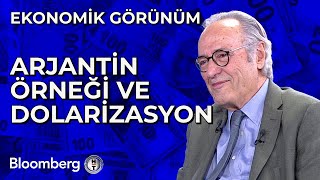 Ekonomik Görünüm  Arjantin Örneği ve Dolarizasyon  30 Kasım 2023 [upl. by Alim]