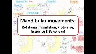 Mandibular movements Rotational Translational Protrusive Retrusive amp Functional [upl. by Ahsitel]