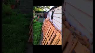 DIY Building a ShedTiny house using pallets  GabzWorkshop shortsvideo [upl. by Norod]