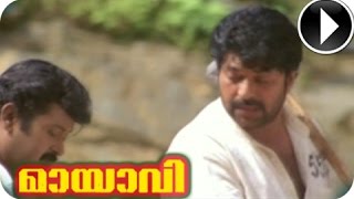 Sneham Thenalla Song From  Malayalam Movieb  Mayavi HD [upl. by Nebur]