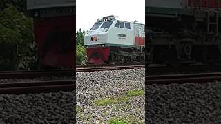 Kereta Api Pasundan keretaapi kereta shortsvideo shortvidio shorts short trendingshorts [upl. by Nevla]