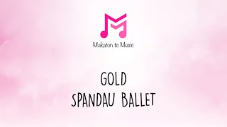 Gold  Spandau Ballet  Makaton To Music [upl. by Easlehc]