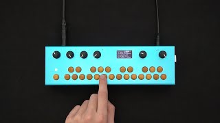 Critter amp Guitari  Jeraphy Organelle Demo [upl. by Allsopp]