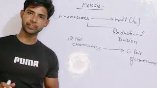 Meiosis  cell division cellcycle  Mitosis [upl. by Mercier]