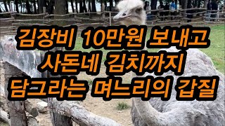 김치 만들라고 10만원 보낸 며느리 김장 사연 [upl. by Naujid]