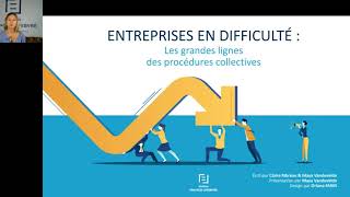 Entreprise en difficulté les grandes lignes des procédures collectives [upl. by Lotta521]