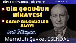 quotBir Çocuğun Hikayesiquot quotGarip Bilgisizler Alayıquot Memduh Şevket Esendal Hikayeleri [upl. by Colombi]