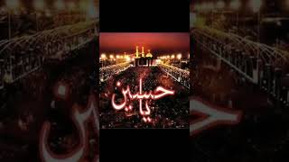 zadr e jin ki mola Hussain as se jang ki ijazat youtubevideo🙏🏻😭🙏🏻😭🙏🏻😭🙏🏻😭🙏🏻 [upl. by Trix]