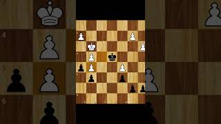 Brilliant Endgamechesstricks chessgamecheckmate chesstactics [upl. by Leandre]