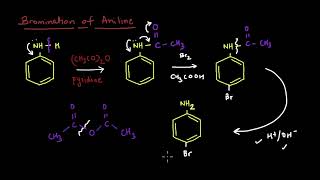 Bromination of Aniline  Electrophilic Aromatic Substitution Reactions  Chemistry  Khan Academy [upl. by Aisyla]