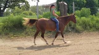 Riding RT Rosefleet bareback walk trot canter back 9417 [upl. by Neahs321]