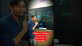 What is the difference between chromatin chromosome amp chromatid 🔥😎 biology cbse k2institute [upl. by Richmound715]