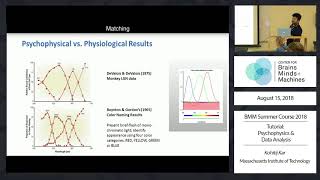 Tutorial Psychophysics and Data Analysis [upl. by Kcirdlek108]