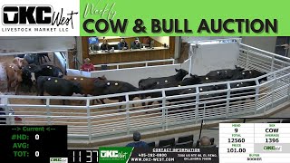 12112023  OKC West Weekly Cow amp Bull Auction [upl. by Egroeg]