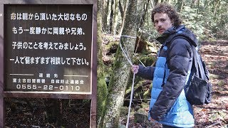 Visité el quotbosque de los suicidasquot en Japón [upl. by Annabel]