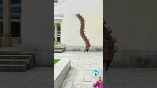 Yalu 1972 official Yalu 1972 Paris Fashion Week show turns into a centipede climbing on the wall [upl. by Assir906]