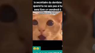 POV LES SECRÉTAIRES DES DENTISTES shortvideo youtubeshorts funnyvideo funnyshorts funny [upl. by Kahaleel]