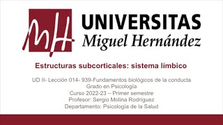 UDII Lec014 Estructuras subcorticales sistema límbico Parte 001umh0939 202223 [upl. by Lemar173]