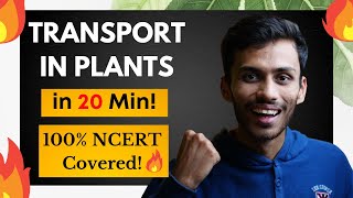 Transport in Plants FAST One SHOT🔥  Fast Revision in 20 Min  NCERT Line to Line  Class 11  NEET [upl. by Lucita567]