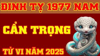 🔴 Tử Vi Tuổi Đinh Tỵ 1977 Nam Mạng Năm 2025 🌸🌸 Biết Trước Số Mệnh Để Giữ Được Tài Lộc [upl. by Arolf919]