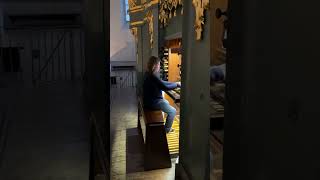 A French Toccata for the Organ [upl. by Alan]