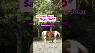 What it looks like when my horse says ‘no’ to lying down horsetrainingtips clickertraininghorses [upl. by Black]