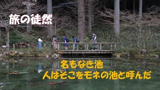 モネの池は根道神社の参道脇にある貯水池それが日本のモネの池 [upl. by Josey]