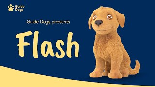 GUIDE DOGS  FLASH ANIMATION [upl. by Atwekk633]