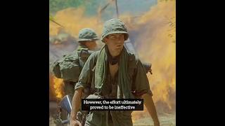 The Untold Story of Safe Conduct Passes in the Vietnam War and Platoon  shorts short [upl. by Etnahsal]