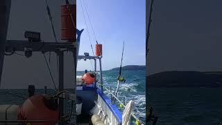 Trolling for UK Blue Fin Tuna seafishinguk fish fishing oceanfishing [upl. by Revorg]