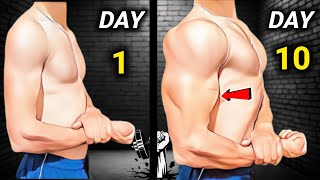 Arm Workout for BIGGER Arms [upl. by Seeto]