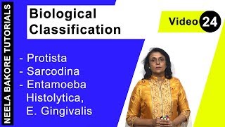 Biological Classification  NEET  Protista  Sarcodina  Entamoeba Histolytica E Gingivalis [upl. by Loring420]