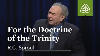 RC Sproul For the Doctrine of the Trinity [upl. by Orms]