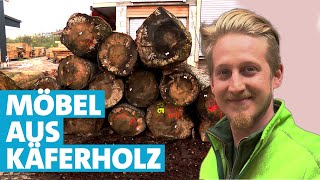 Holz mit Borkenkäferbefall  drei Schreiner machen Möbel aus Käferholz [upl. by Sikram]