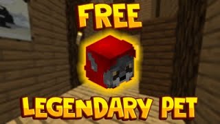 How to FARM Pet Coin and get a FREE Epic Pet  Dragon Nest SEA [upl. by Cerys]