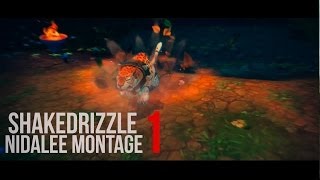 ShakeDrizzle Nidalee Montage 1 [upl. by Ynnaffit435]