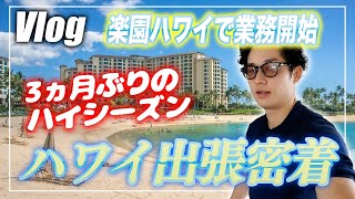 【会計士VLOG】仕事×勉強×トレーニング×遊びの独立会計士ルーティーン【公認会計士小山あきひろ】 [upl. by Ocirrej]