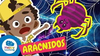 Curiosidades de los Arácnidos que Te Sorprenderán  Happy Learning 🕷️🕸️ [upl. by Elacsap]